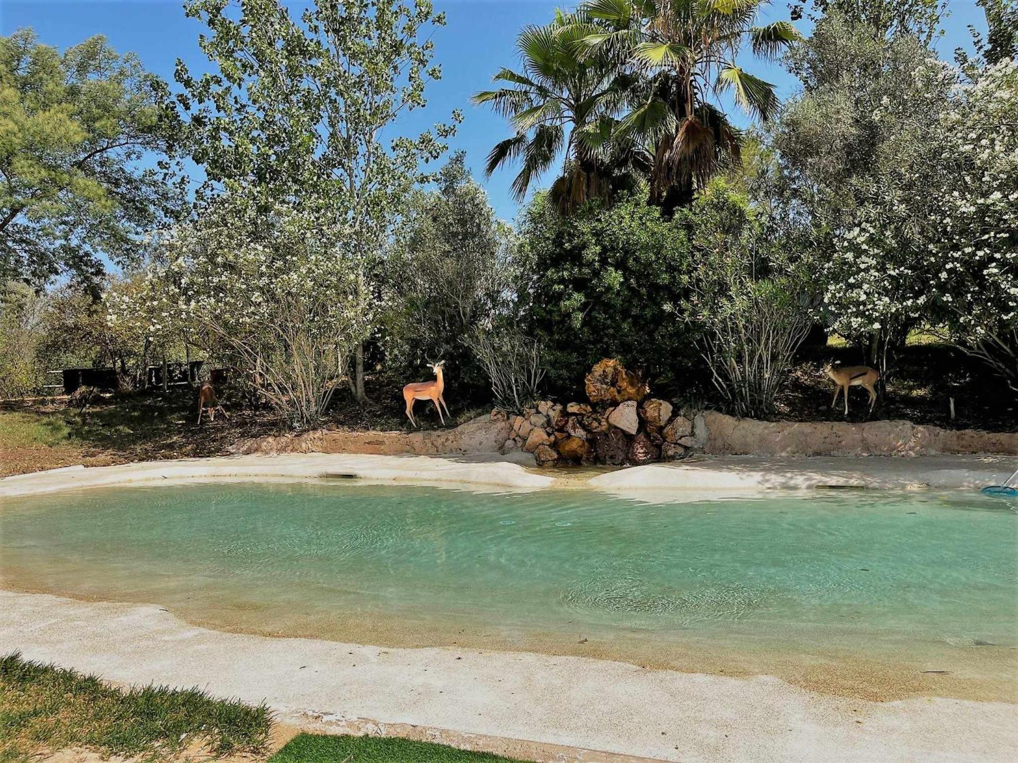 ホテル Parque Da Mina モンシケ エクステリア 写真